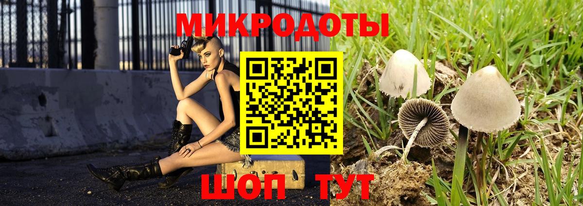 Строитель  Галлюциногенные грибы GOLDEN TEACHER  Вход с VPN  Псилоцибиновые грибы Magic Shrooms 
