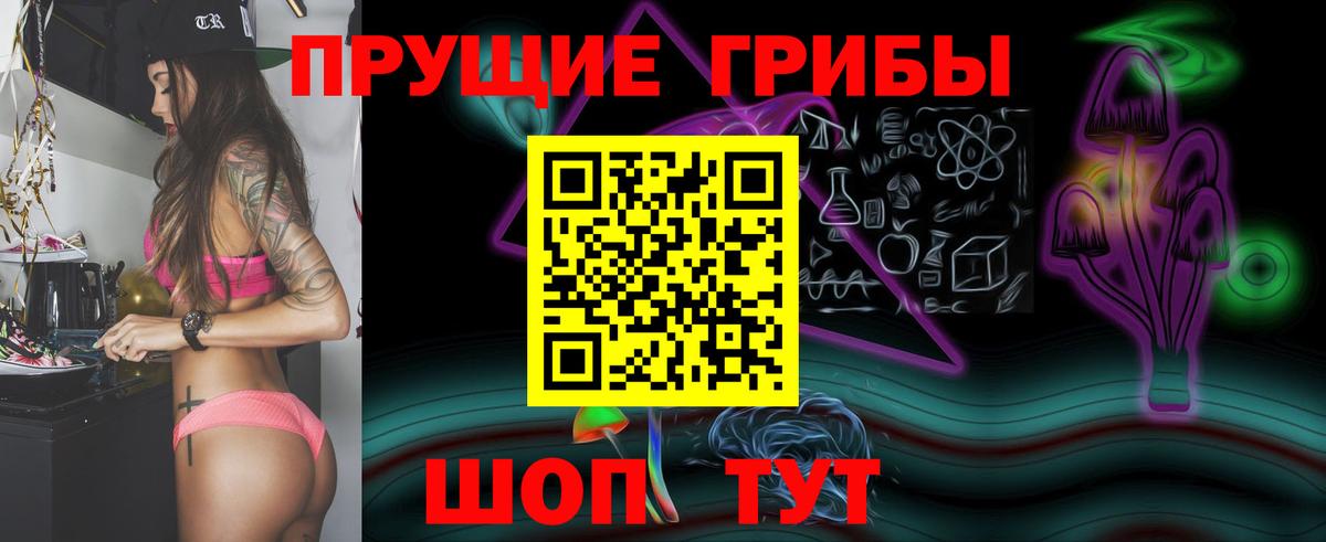 Псилоцибиновые грибы прущие грибы Строитель